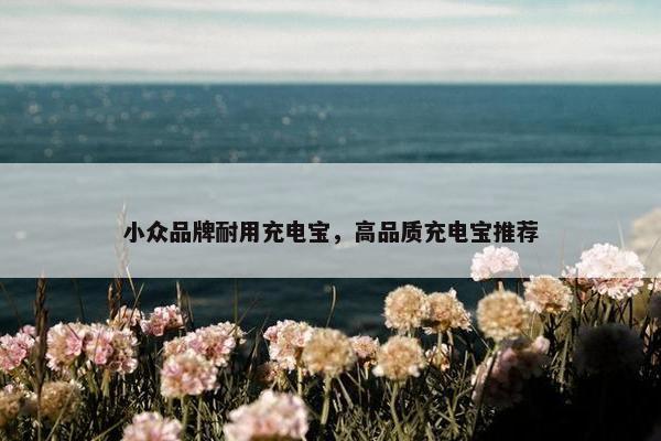 小众品牌耐用充电宝，高品质充电宝推荐