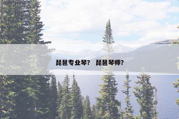 琵琶专业琴？ 琵琶琴师？