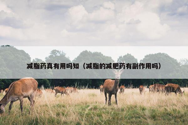 减脂药真有用吗知（减脂的减肥药有副作用吗）