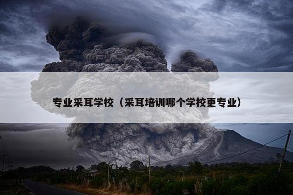 专业采耳学校（采耳培训哪个学校更专业）