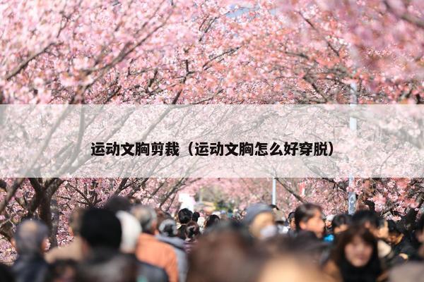 运动文胸剪裁（运动文胸怎么好穿脱）