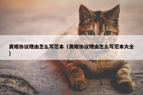 离婚协议理由怎么写范本（离婚协议理由怎么写范本大全）