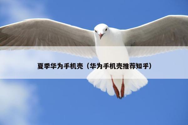 夏季华为手机壳（华为手机壳推荐知乎）