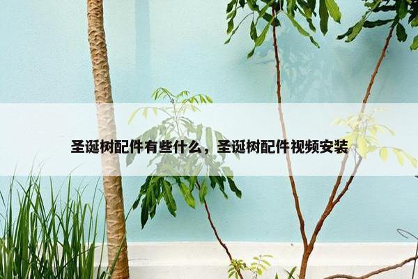 圣诞树配件有些什么，圣诞树配件视频安装
