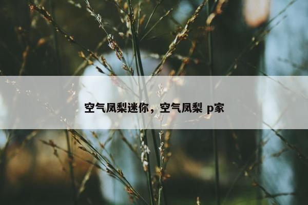 空气凤梨迷你，空气凤梨 p家
