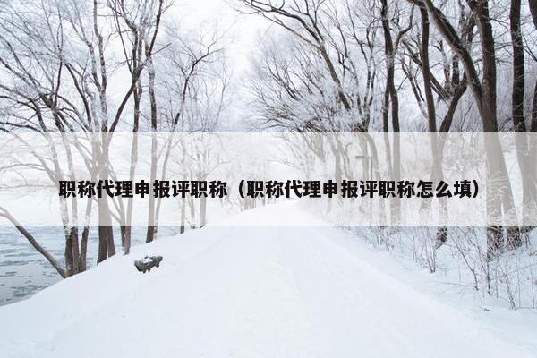 职称代理申报评职称（职称代理申报评职称怎么填）