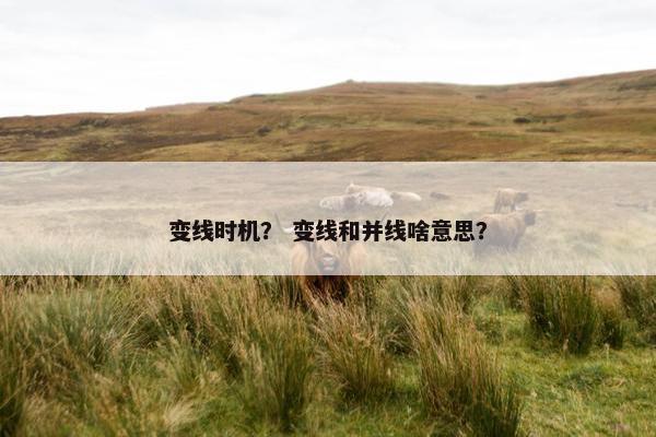 变线时机？ 变线和并线啥意思？