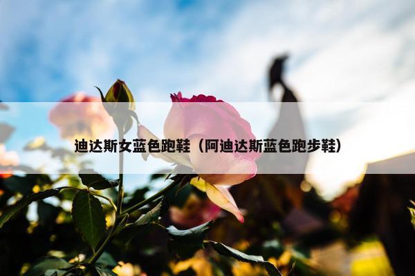 迪达斯女蓝色跑鞋（阿迪达斯蓝色跑步鞋）