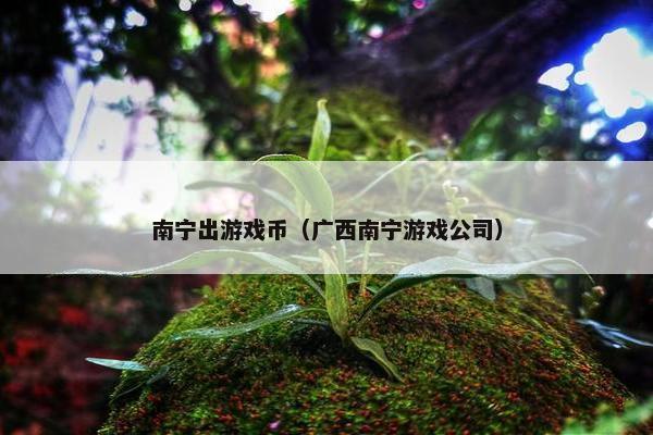 南宁出游戏币（广西南宁游戏公司）