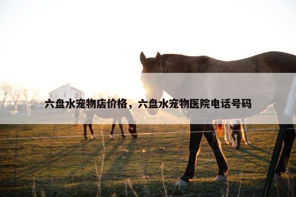 六盘水宠物店价格，六盘水宠物医院电话号码