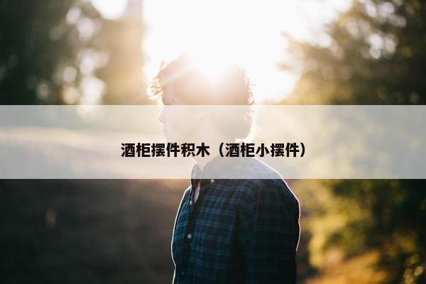 酒柜摆件积木（酒柜小摆件）