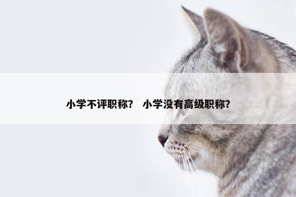 小学不评职称？ 小学没有高级职称？