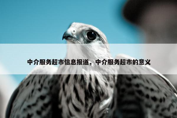 中介服务超市信息报道，中介服务超市的意义