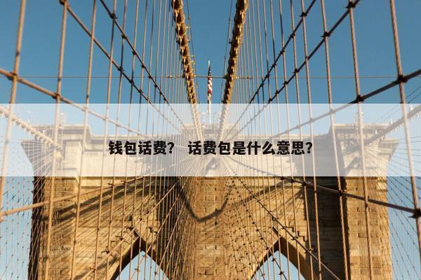 钱包话费？ 话费包是什么意思？