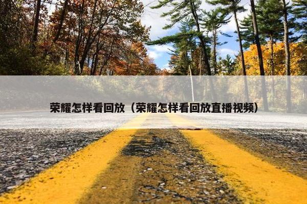 荣耀怎样看回放（荣耀怎样看回放直播视频）