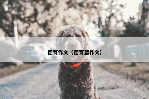 德育作文（德育篇作文）