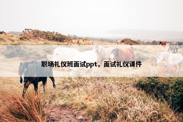 职场礼仪班面试ppt，面试礼仪课件