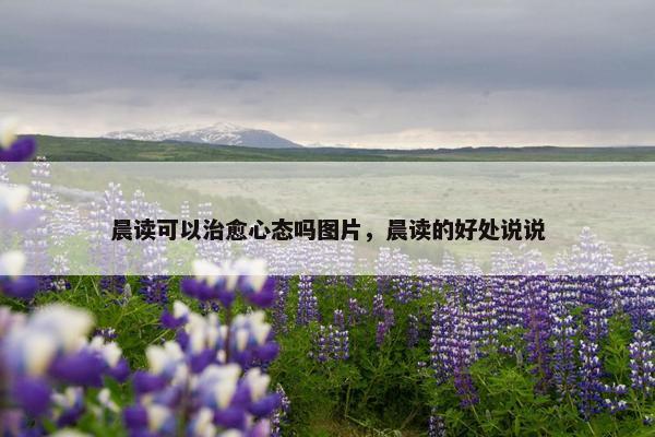 晨读可以治愈心态吗图片，晨读的好处说说