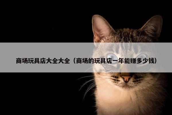 商场玩具店大全大全（商场的玩具店一年能赚多少钱）