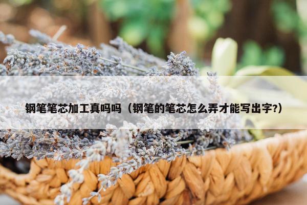 钢笔笔芯加工真吗吗（钢笔的笔芯怎么弄才能写出字?）