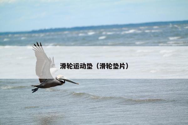 滑轮运动垫（滑轮垫片）
