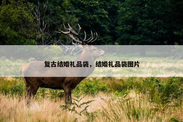 复古结婚礼品袋，结婚礼品袋图片