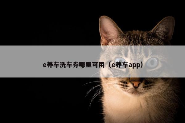 e养车洗车券哪里可用（e养车app）