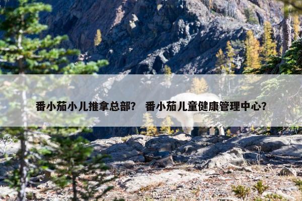 番小茄小儿推拿总部？ 番小茄儿童健康管理中心？