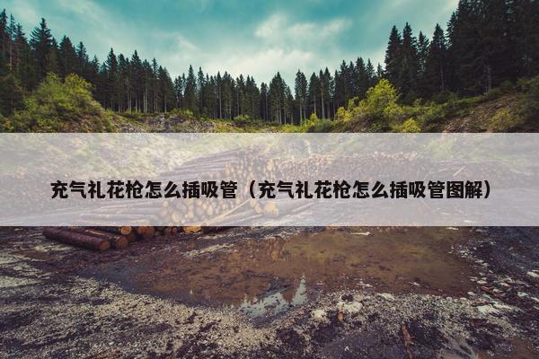 充气礼花枪怎么插吸管（充气礼花枪怎么插吸管图解）