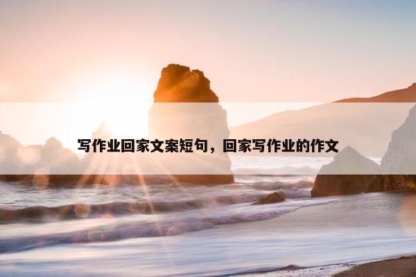 写作业回家文案短句，回家写作业的作文