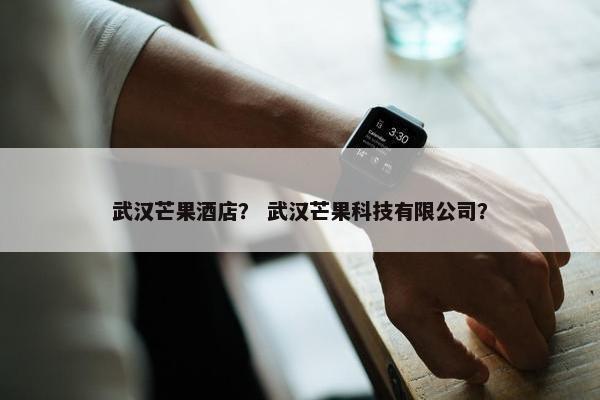 武汉芒果酒店？ 武汉芒果科技有限公司？