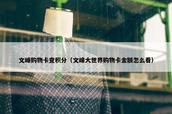 文峰购物卡查积分（文峰大世界购物卡金额怎么看）