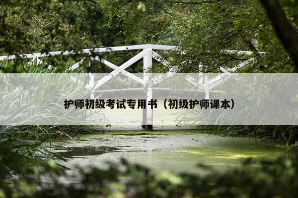 护师初级考试专用书（初级护师课本）