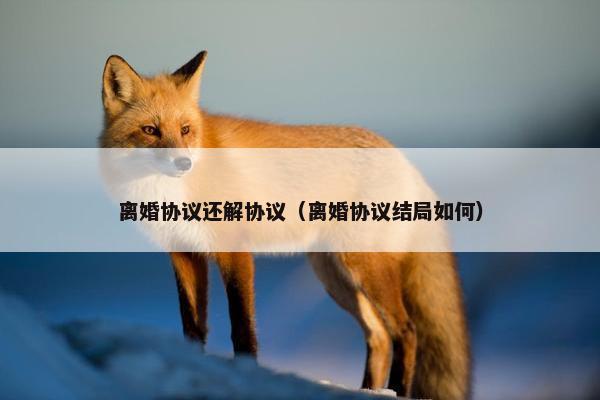离婚协议还解协议（离婚协议结局如何）
