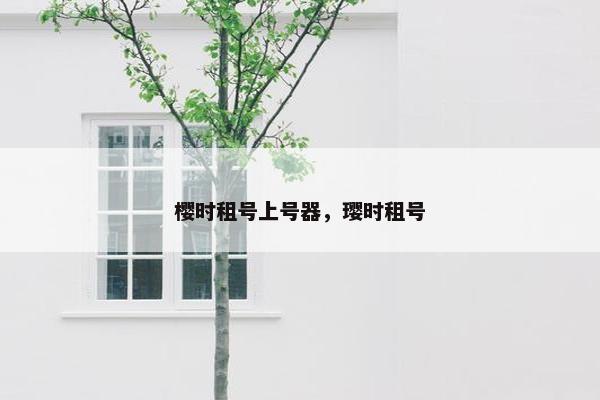 樱时租号上号器，璎时租号