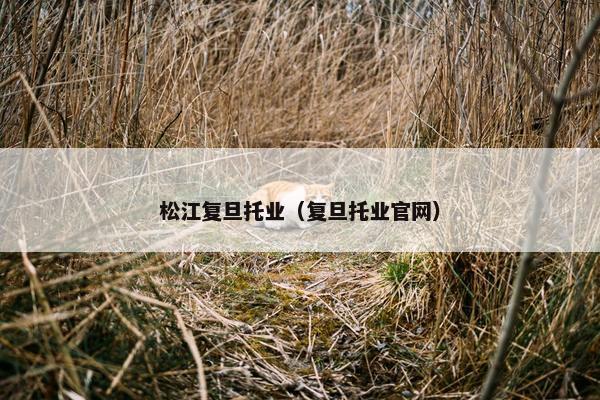 松江复旦托业（复旦托业官网）