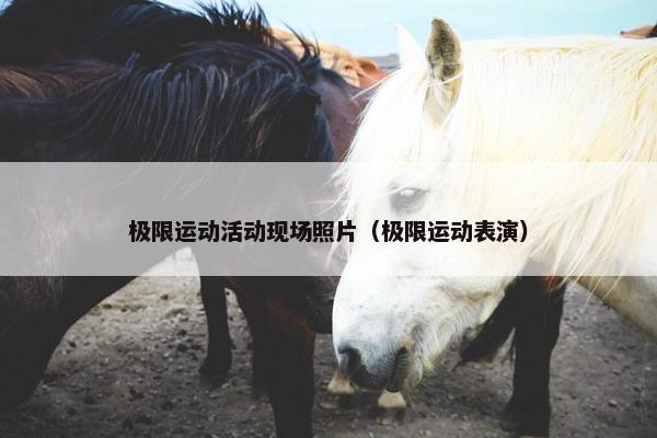 极限运动活动现场照片（极限运动表演）
