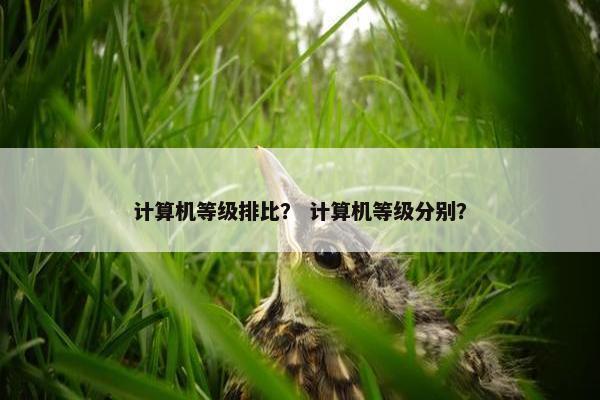 计算机等级排比？ 计算机等级分别？