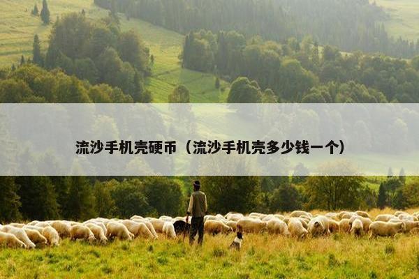 流沙手机壳硬币（流沙手机壳多少钱一个）