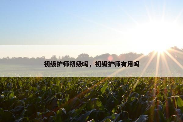 初级护师初级吗，初级护师有用吗