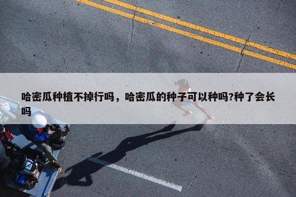 哈密瓜种植不掉行吗，哈密瓜的种子可以种吗?种了会长吗