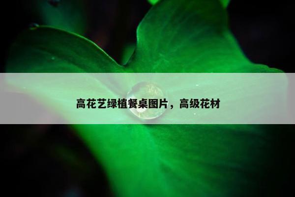 高花艺绿植餐桌图片，高级花材