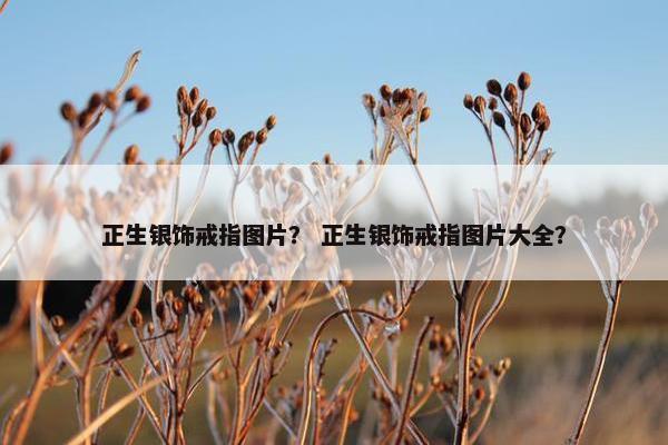 正生银饰戒指图片？ 正生银饰戒指图片大全？