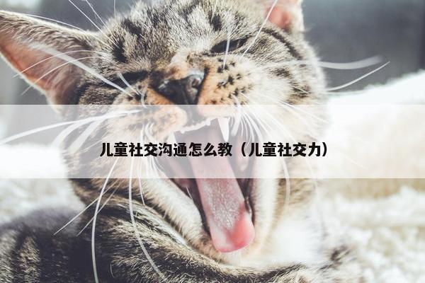 儿童社交沟通怎么教（儿童社交力）
