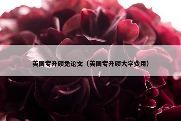 英国专升硕免论文（英国专升硕大学费用）
