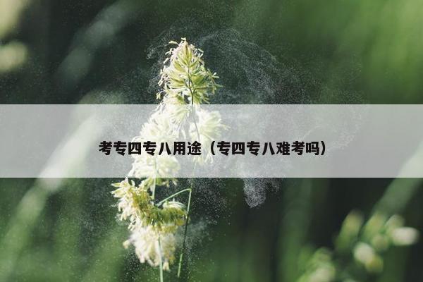考专四专八用途（专四专八难考吗）