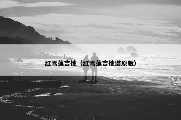 红雪莲吉他（红雪莲吉他谱原版）