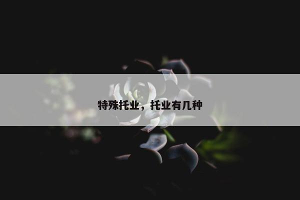 特殊托业，托业有几种