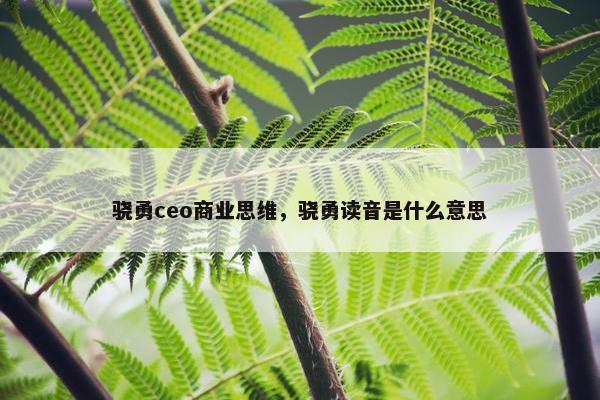 骁勇ceo商业思维，骁勇读音是什么意思