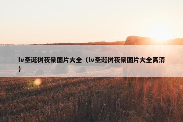 lv圣诞树夜景图片大全（lv圣诞树夜景图片大全高清）